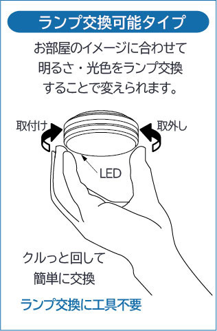 DAIKO 大光電機 小型シーリング DCL-5456YW | 商品情報 | LED照明器具