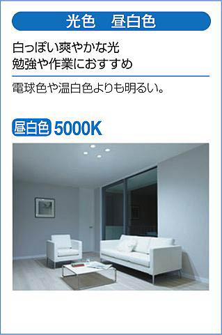 DAIKO 大光電機 ダウンライト(軒下兼用) DDL-5004WWG | 商品情報