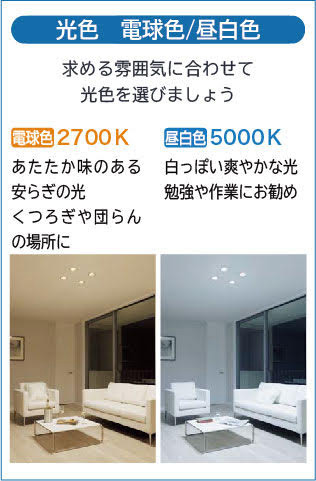 DAIKO 大光電機 ダウンライト DDL-5599YB | 商品情報 | LED照明器具の