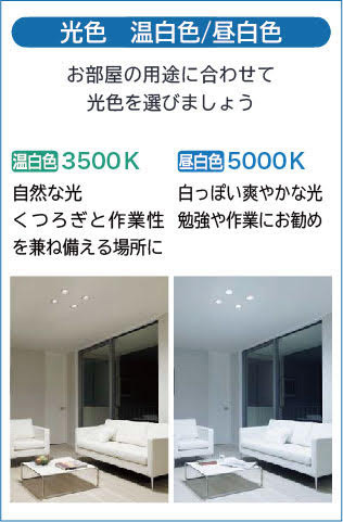 DAIKO 大光電機 ダウンライト(軒下兼用) DDL-8789WB | 商品情報