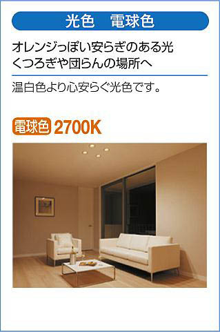 DAIKO 大光電機 ダウンライト DDL-8791YW お買い得2台セット DAIKO 大