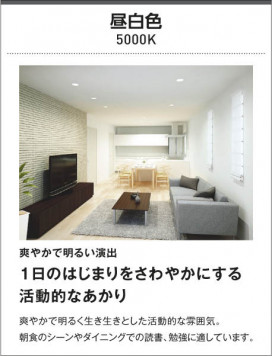 KOIZUMI ߾ ⵤ̩饤 AD7116B50 
