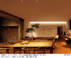 Panasonic ���۲����� LGB51345KXG1 �̿�3