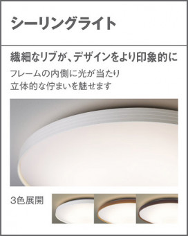 Panasonic 󥰥饤 LSEB1164K ̿4