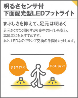 Panasonic �֥饱�å� LGBC70069 �̿�2