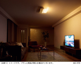 Panasonic ������󥰥饤�� LGC58200 �̿�1