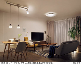 Panasonic  SFX010 ̿1