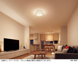 Panasonic  SFX010 ̿5