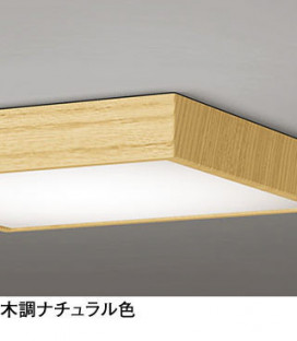 ODELIC ǥå 󥰥饤 OL251788R ̿2