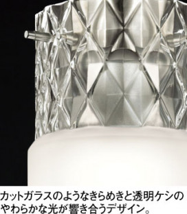 ODELIC �����ǥ�å� �ڥ����ȥ饤�� OP252835LR �̿�3