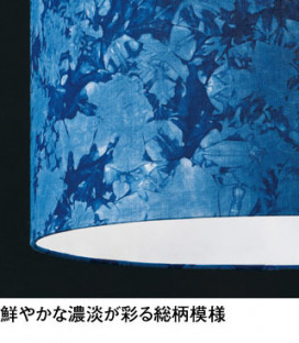 ODELIC �����ǥ�å� �ڥ����ȥ饤�� OP252966LR �̿�1