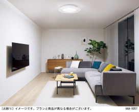 Panasonic ������󥰥饤�� LGC48110 �̿�2