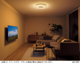 Panasonic ������󥰥饤�� LGC58110 �̿�4