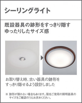 Panasonic ������󥰥饤�� LGC62138 �̿�3