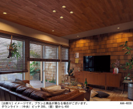 Panasonic ������饤�� SLD1010NLB1 �̿�1