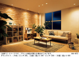 Panasonic ������饤�� XAD1100VKCB1 �̿�3