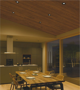 �ܹ���̿� Koizumi �������߾��� LED�ⵤ̩SB��˥С����������饤�� AD1270B99