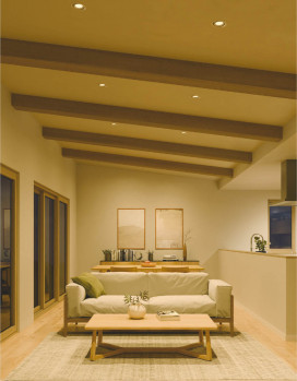 �ܹ���̿� Koizumi �������߾��� LED�ⵤ̩SB��˥С����������饤�� AD1272W27