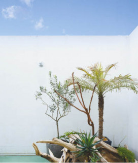 �ܹ���̿� Koizumi �������߾��� �ա��� AE47337E