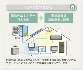 �������� Koizumi �������߾��� ���ޡ��ȥ����ץ� AE49233E