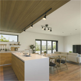 �ܹ���̿� Koizumi �������߾��� LED���ݥåȥ饤�� AS56090