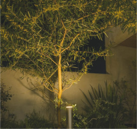 �ܹ���̿� Koizumi �������߾��� LED�����ǥ�饤�� AU51399