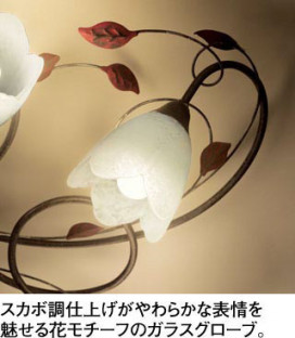 ODELIC �����ǥ�å� �֥饱�å� OB255129WR �̿�1