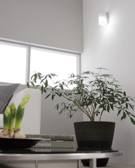 ODELIC �����ǥ�å� �֥饱�å� OB255192NR �̿�1