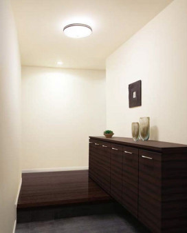 ODELIC �����ǥ�å� ����������󥰥饤�� OL011251NR �̿�1