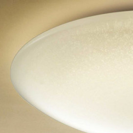 ODELIC �����ǥ�å� ����������󥰥饤�� OL251498GR �̿�2