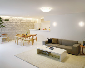 ODELIC �����ǥ�å� ������󥰥饤�� OL251823GR �̿�4