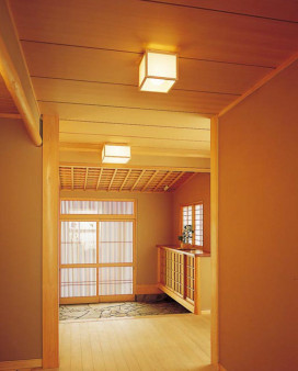 ODELIC �����ǥ�å� ��������������󥰥饤�� OL251845NR �̿�1