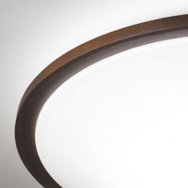 ODELIC �����ǥ�å� ������󥰥饤�� OL291319GR �̿�2