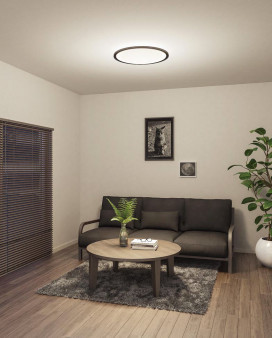 ODELIC �����ǥ�å� ������󥰥饤�� OL291320GR �̿�1