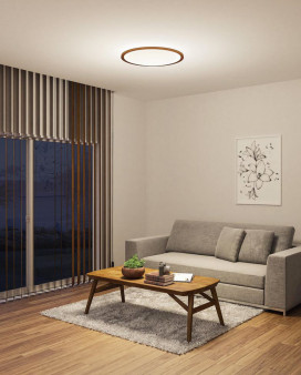 ODELIC �����ǥ�å� ������󥰥饤�� OL291323GR �̿�1