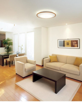 ODELIC �����ǥ�å� ������󥰥饤�� OL291324GR �̿�2