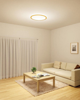 ODELIC �����ǥ�å� ������󥰥饤�� OL291327GR �̿�2