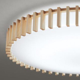 ODELIC �����ǥ�å� ������󥰥饤�� OL291505GR �̿�2