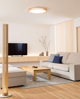 ODELIC �����ǥ�å� ������󥰥饤�� OL291505GR �̿�3