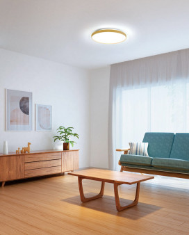 ODELIC �����ǥ�å� ������󥰥饤�� OL291557GR �̿�2