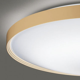 ODELIC �����ǥ�å� ������󥰥饤�� OL291558GR �̿�3