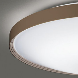 ODELIC �����ǥ�å� ������󥰥饤�� OL291561GR �̿�2