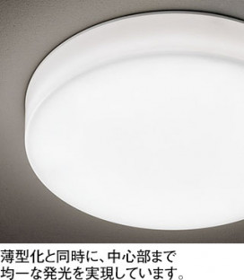 ODELIC �����ǥ�å� ����������󥰥饤�� OL291695WR �̿�2