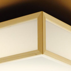 ODELIC �����ǥ�å� ����������󥰥饤�� OL291698LR �̿�2