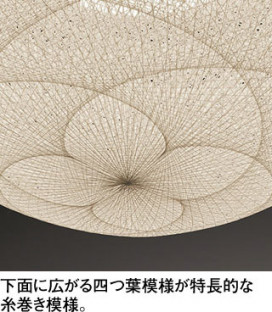 ODELIC �����ǥ�å� �����ڥ����ȥ饤�� OP252929NR �̿�2