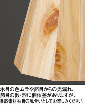 ODELIC �����ǥ�å� �ڥ����ȥ饤�� OP252941NR �̿�1