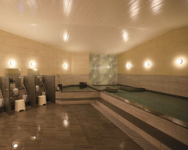 ODELIC �����ǥ�å� �Х��롼��饤�� OW269052NR �̿�1