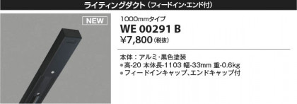 ���β��� Koizumi �������߾��� �饤�ƥ��󥰥�����(�ե����ɥ��󡦥�����ա� WE00291B