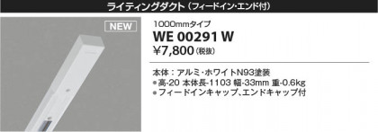 ���β��� Koizumi �������߾��� �饤�ƥ��󥰥�����(�ե����ɥ��󡦥�����ա� WE00291W