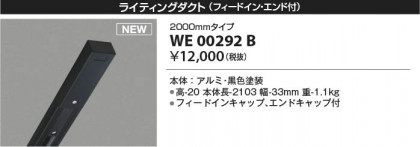 ���β��� Koizumi �������߾��� �饤�ƥ��󥰥�����(�ե����ɥ��󡦥�����ա� WE00292B